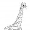 graff.png