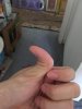 IMG_0364_20170721_134900.jpg