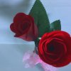 IMG_9628.JPG