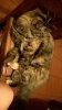 IMG-20170718-WA0001.jpg