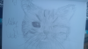 2017-08-07 21.58.52.png