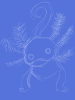 1502505246799.png