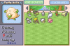 Pokemon Expert Emerald Beta 1.5_1503586302911.png