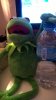 WP_20171009_23_26_39_Pro.jpg
