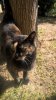 IMG-20171019-WA0000.jpg
