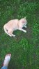 WP_20170608_19_46_40_Pro.jpg