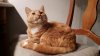 20160213_214216.jpg