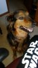 20170218_102957.jpg