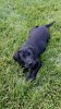174_1506710326372.jpeg
