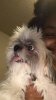 547C5327-5433-4BFB-B144-17232BD56BC9.jpeg