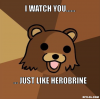 pedobear-meme-generator-i-watch-you-just-like-herobrine-40cf3d.png