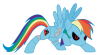 rainbow d.png