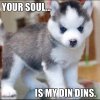 puppy-satan-is-hungry-25022.jpg