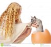cat-hatched-egg-isolated-white-32032715.jpg