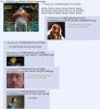 1521794699167.jpg