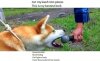 FB_IMG_1522022182202.jpg