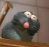 image (1).jpeg