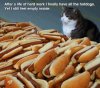 hotdogs.jpg