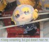 FB_IMG_1522715819857.jpg
