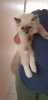 20180530_133141.jpg