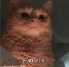 1524339131442.png