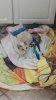my cat.jpg