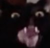 AVATAR3.jpg