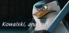 153207B8-C794-4C9C-B0AE-98F13B50C60B.jpeg
