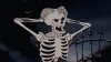 skeleton.jpg