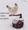 1525462724690.jpg