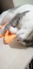IMG-20190607-WA0001-1.jpeg