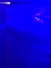 upload_2020-4-4_20-54-15.jpeg