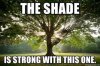 shade.jpg