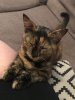 IMG-20180702-WA0002.jpg