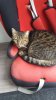 IMG-20180129-WA0002.jpg