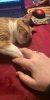 A8DFF3ED-073E-4930-99A9-0C4567D1E043.jpeg