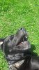 IMG-20190624-WA0007.jpg