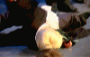 3916_d882.gif