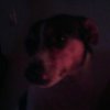IMG_20140425_021839.jpg