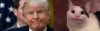 upload_2020-6-11_13-12-1.png