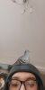 upload_2020-8-4_22-49-43.jpeg