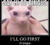 25949D85-3724-4130-97BB-E0A1E6E350CE.jpeg