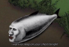 i do.PNG