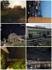 Collage_20210404_173729.jpg