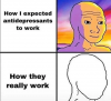 1sxzv9hz6mn51.png