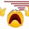 noooooo.png