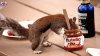 fabzilicious_Nutella-out-the-jar.jpg