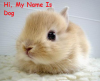 upload_2014-5-6_16-30-15.png