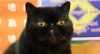 Picture 17.png