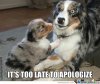 too-late-to-apologize_o_684447.jpg